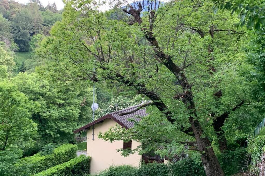 Traditional Villa Bellagio San Primo Lake Como Eksteriør billede